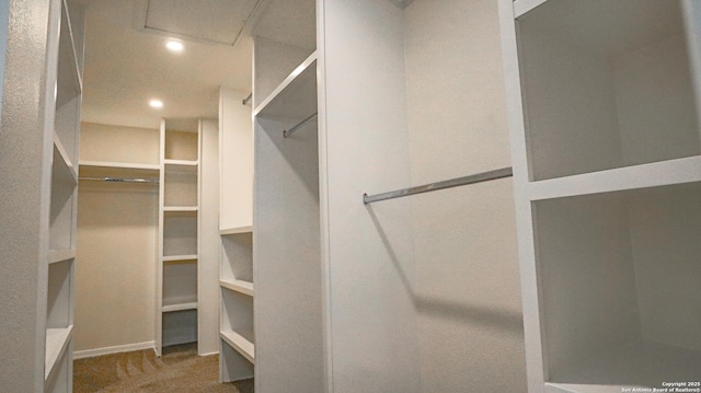 spacious closet with carpet