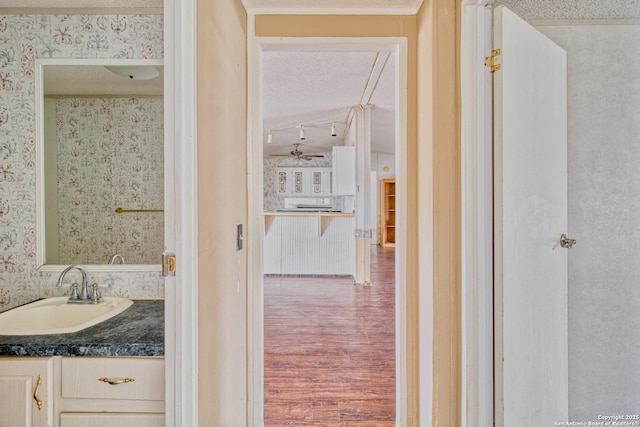 225 County Road 3821, San Antonio, TX 78253 - bathroom featuring wood finished floors, vanity, a textured ceiling, and wallpapered walls