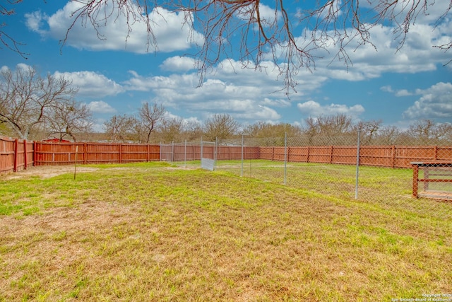 225 County Road 3821, San Antonio, TX 78253 - view of yard with a fenced backyard