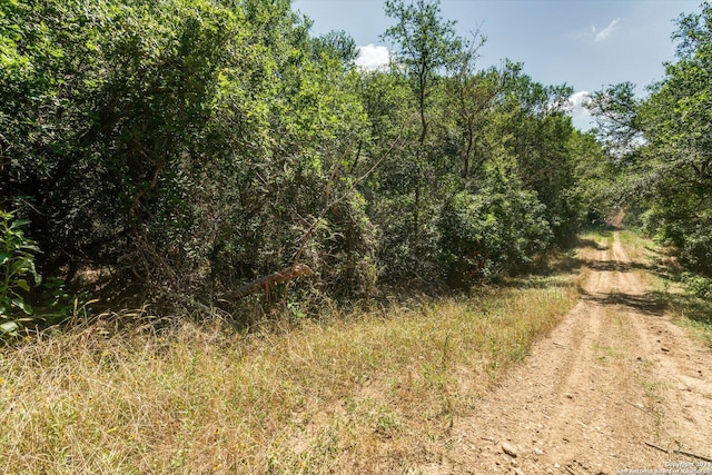 LOT650 Kaukonahua Ln, Bastrop TX, 78602 land for sale