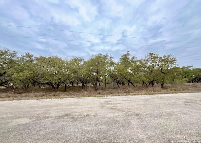 233 Palomino Trl, Natalia TX, 78059 land for sale