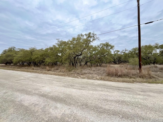 Listing photo 2 for 233 Palomino Trl, Natalia TX 78059