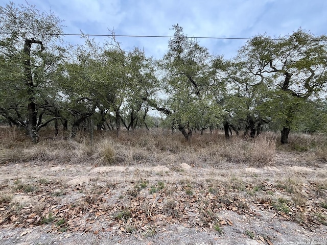 Listing photo 3 for 233 Palomino Trl, Natalia TX 78059