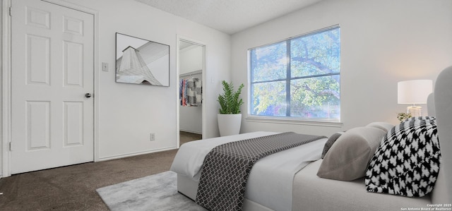 carpeted bedroom with a spacious closet, baseboards, and a textured ceiling