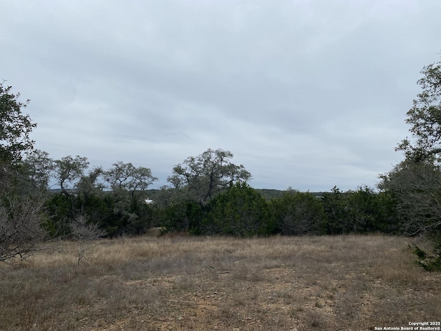 Listing photo 2 for 1629 Rebecca Ranch Rd, Canyon Lake TX 78133