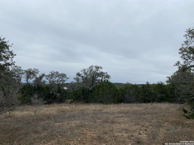 1629 Rebecca Ranch Rd, Canyon Lake, TX 78133