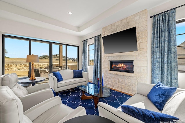 living area with a stone fireplace