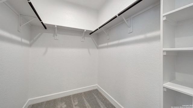 12322 Fort Jyn, San Antonio, TX 78245 - spacious closet featuring carpet floors