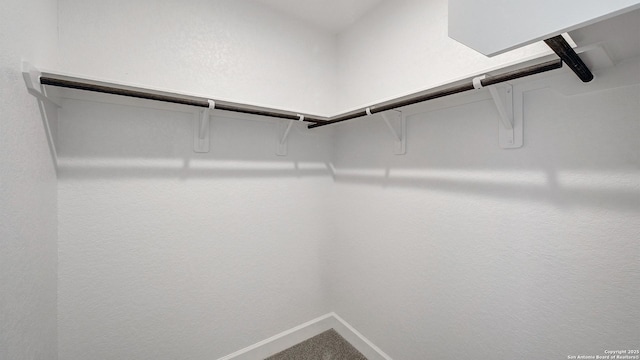 12322 Fort Jyn, San Antonio, TX 78245 - view of spacious closet
