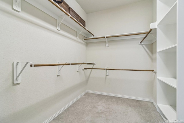 spacious closet with light colored carpet