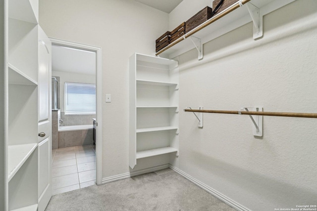 spacious closet featuring light carpet