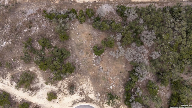 688 Travis Frst, Bulverde, TX 78163