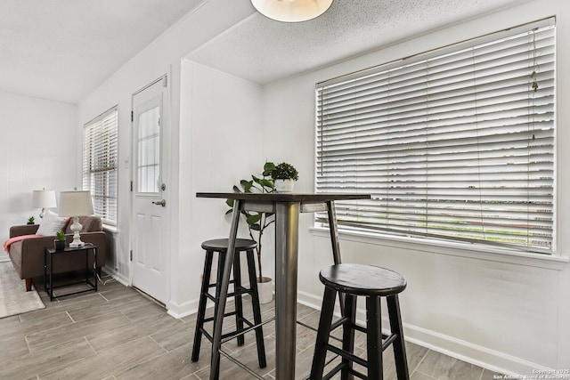 dining room with a textured ceiling, wood finish floors, baseboards, and a healthy amount of sunlight