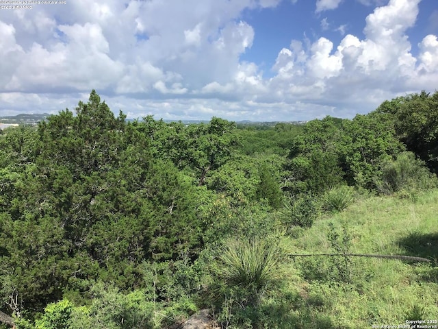 view of landscape featuring a forest view