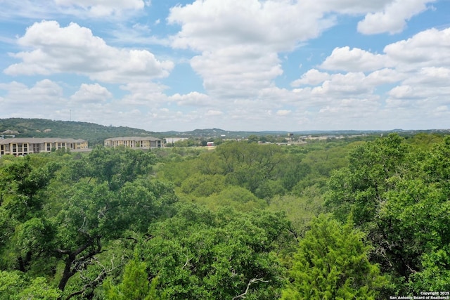 mountain view featuring a wooded view