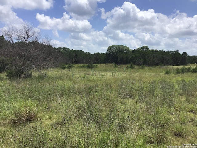 view of nature featuring a rural view