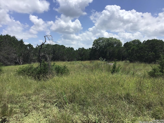 view of nature featuring a wooded view