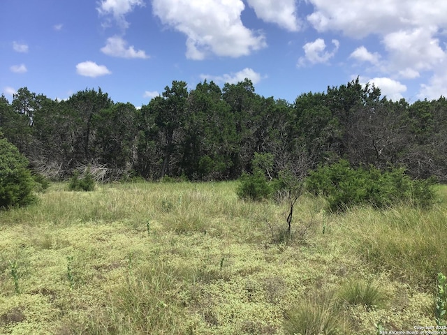 view of nature featuring a wooded view