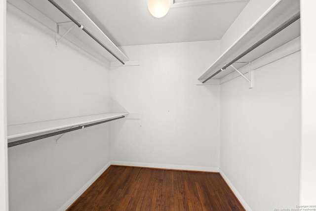 walk in closet with dark wood-type flooring