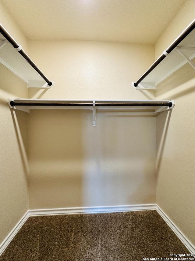 walk in closet with carpet floors