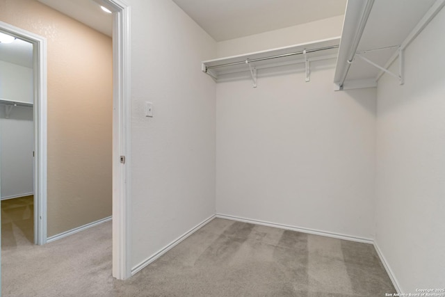 walk in closet with light colored carpet