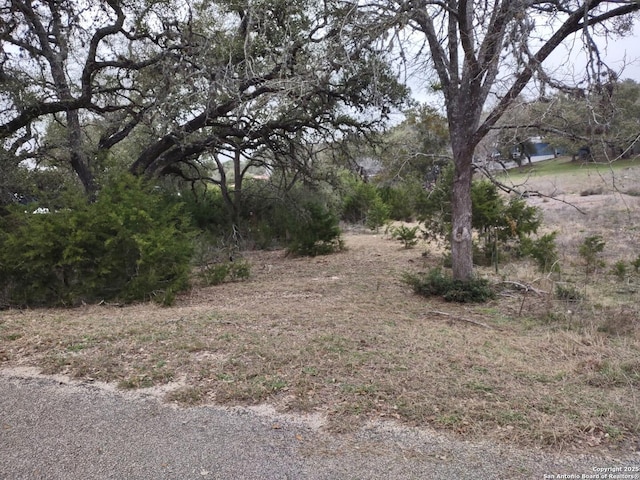 Listing photo 2 for 985 Deer Run Pass, Canyon Lake TX 78133