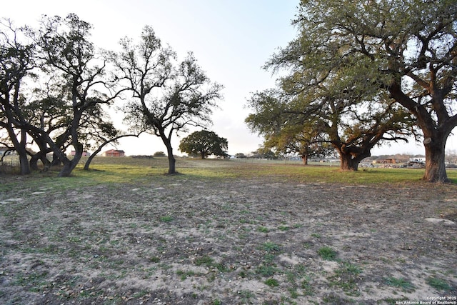 view of yard featuring a rural view