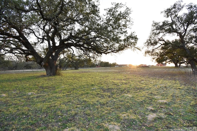 view of yard with a rural view