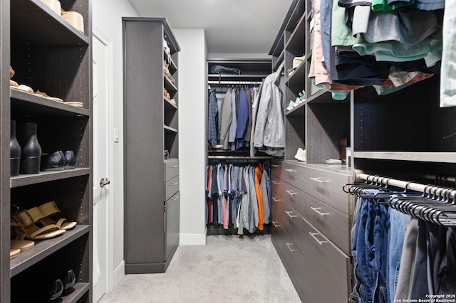 spacious closet with light carpet