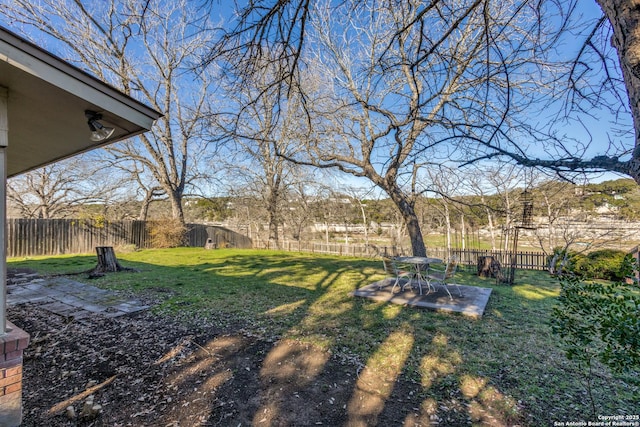 view of yard featuring a patio area and a fenced backyard