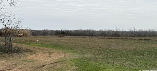 view of local wilderness with a rural view