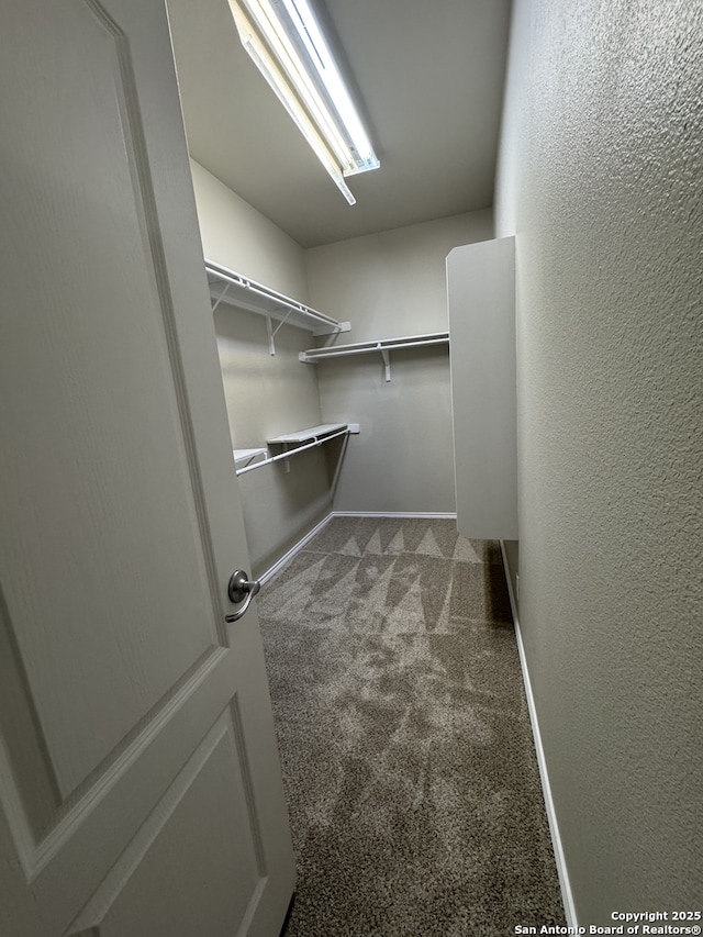 walk in closet featuring dark carpet