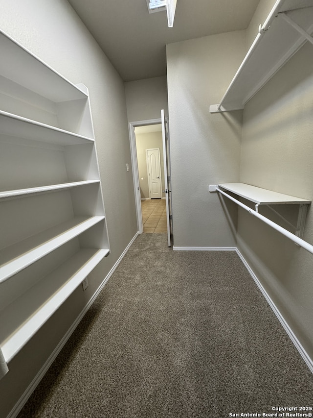 walk in closet with carpet flooring