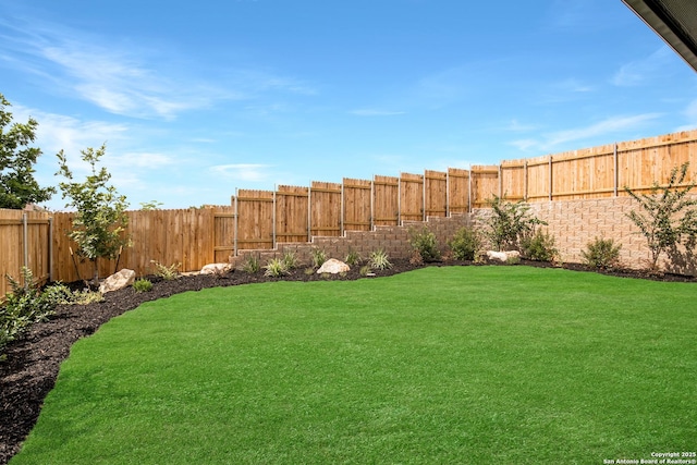 view of yard with a fenced backyard