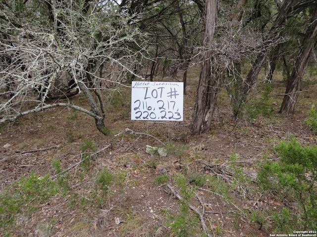 Listing photo 2 for LOT216, 217 W Slop Trl, Lakehills TX 78063