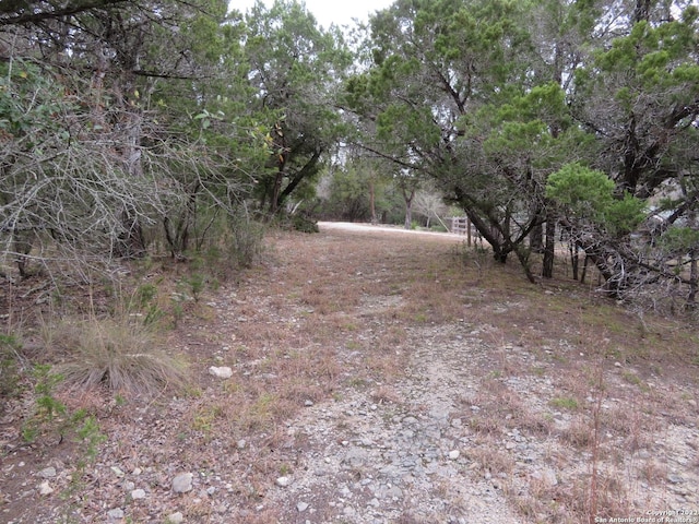 Listing photo 3 for LOT216, 217 W Slop Trl, Lakehills TX 78063