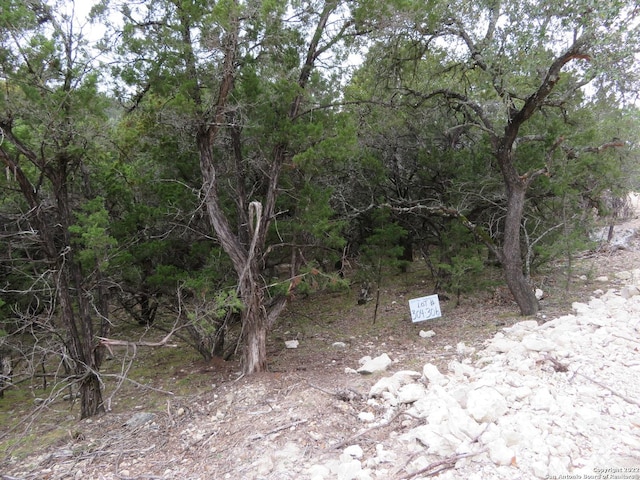 Listing photo 2 for LOT304-306 Deer Trl, Lakehills TX 78063