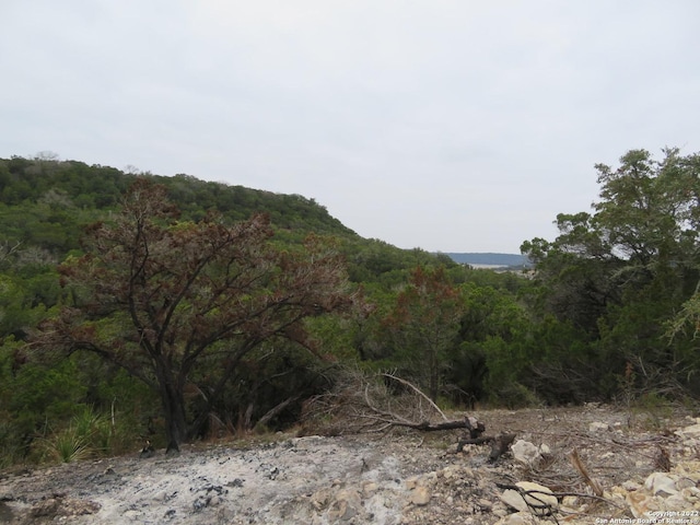 Listing photo 3 for 5 Deer Trl Lot1 2, 3, Lakehills TX 78063