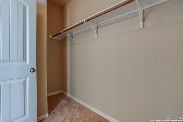 walk in closet with light colored carpet