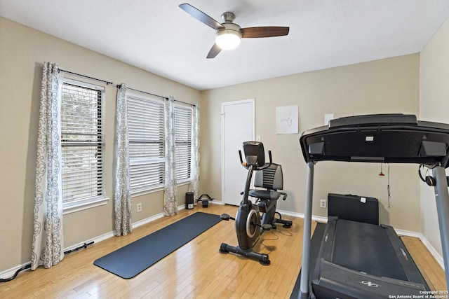 workout room with ceiling fan, baseboards, and wood finished floors