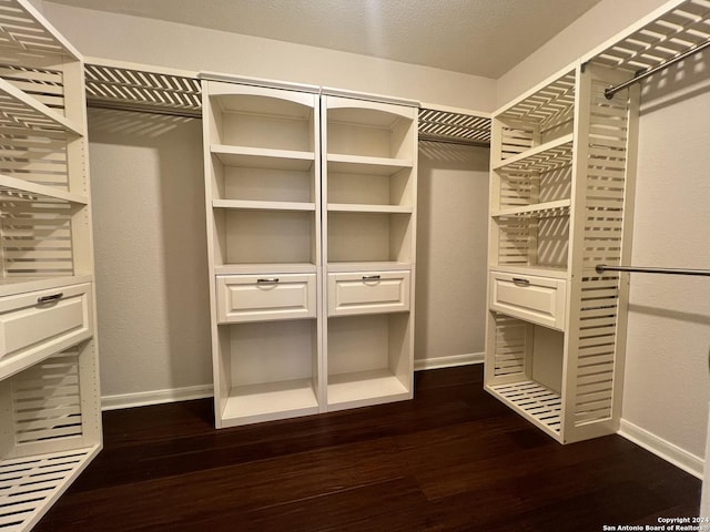 spacious closet featuring dark wood-style floors