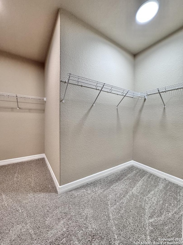 spacious closet with carpet