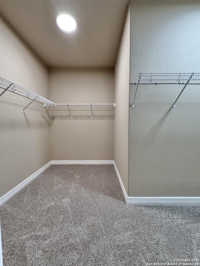 walk in closet featuring carpet floors