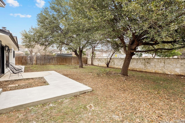 view of yard featuring a fenced backyard and a patio