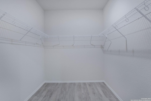 walk in closet featuring wood finished floors