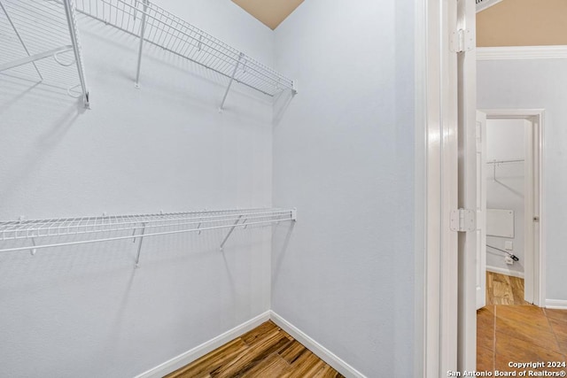 walk in closet featuring wood finished floors