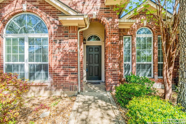 view of exterior entry with brick siding