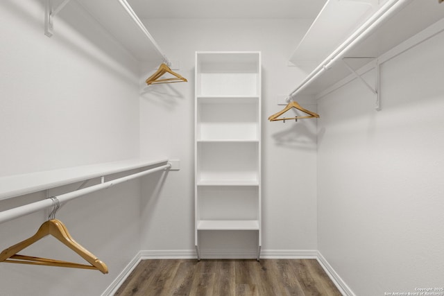 spacious closet featuring dark wood-style flooring