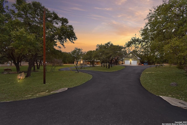 view of front of home with driveway, a garage, and a lawn