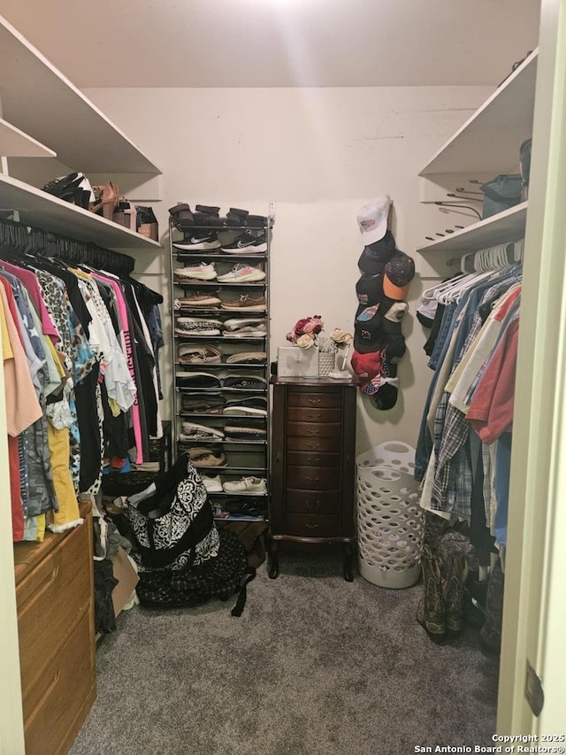 spacious closet with carpet flooring